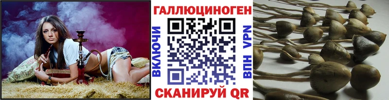 Галлюциногенные грибы мицелий  Нефтеюганск 